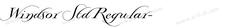 Windsor Std Regular字体转换